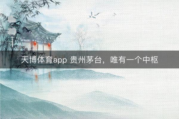 天博体育app 贵州茅台，唯有一个中枢
