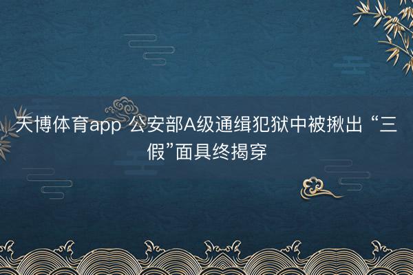 天博体育app 公安部A级通缉犯狱中被揪出 “三假”面具终揭穿