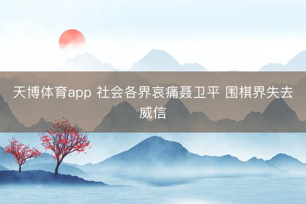 天博体育app 社会各界哀痛聂卫平 围棋界失去威信
