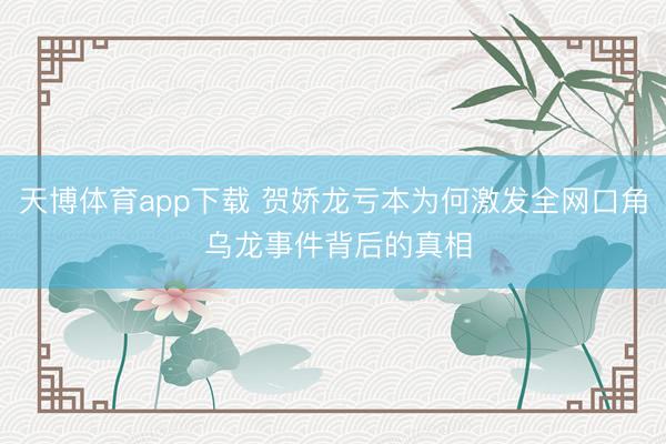 天博体育app下载 贺娇龙亏本为何激发全网口角 乌龙事件背后的真相