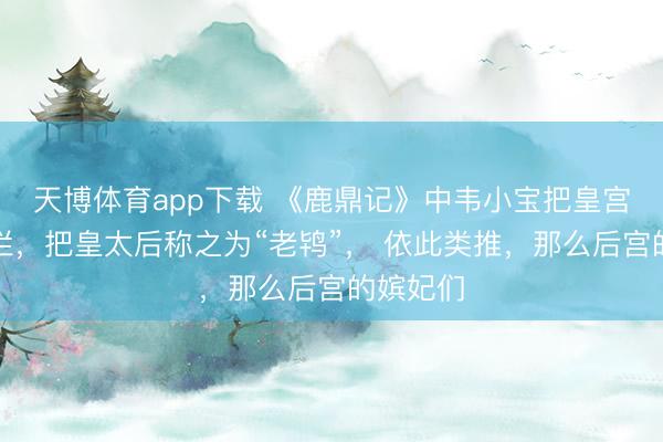 天博体育app下载 《鹿鼎记》中韦小宝把皇宫当成勾栏,把皇太后称之为“老鸨”, 依此类推,那么后宫的嫔妃们