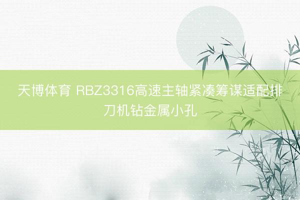 天博体育 RBZ3316高速主轴紧凑筹谋适配排刀机钻金属小孔
