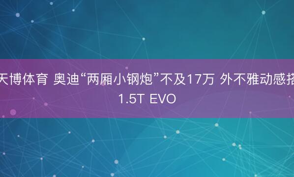 天博体育 奥迪“两厢小钢炮”不及17万 外不雅动感搭1.5T EVO