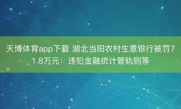 天博体育app下载 湖北当阳农村生意银行被罚71.8万元：违犯金融统计管轨则等