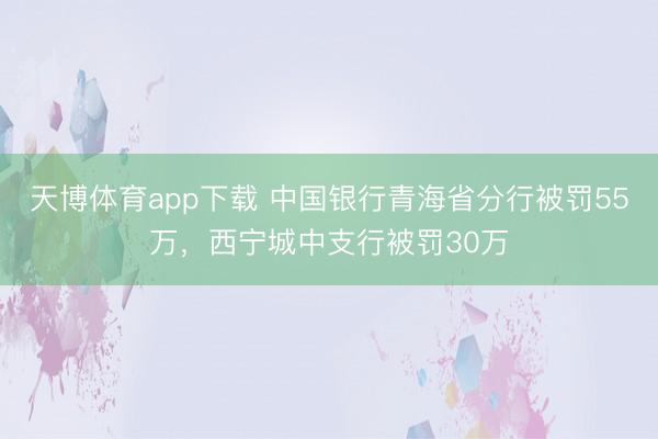 天博体育app下载 中国银行青海省分行被罚55万，西宁城中支行被罚30万