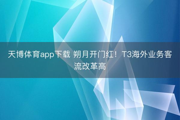 天博体育app下载 朔月开门红!T3海外业务客流改革高