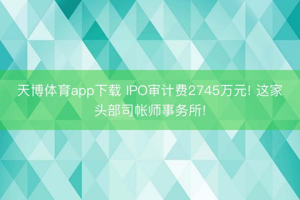 天博体育app下载 IPO审计费2745万元! 这家头部司帐师事务所!