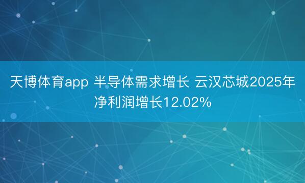 天博体育app 半导体需求增长 云汉芯城2025年净利润增长12.02%