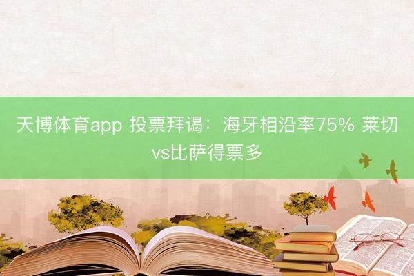 天博体育app 投票拜谒：海牙相沿率75% 莱切vs比萨得票多