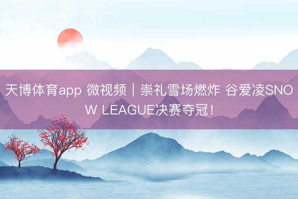 天博体育app 微视频｜崇礼雪场燃炸 谷爱凌SNOW LEAGUE决赛夺冠！