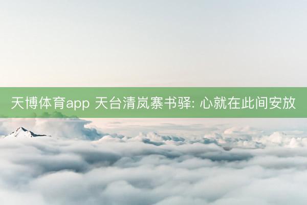 天博体育app 天台清岚寨书驿: 心就在此间安放