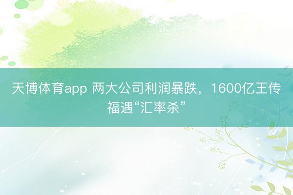 天博体育app 两大公司利润暴跌，1600亿王传福遇“汇率杀”